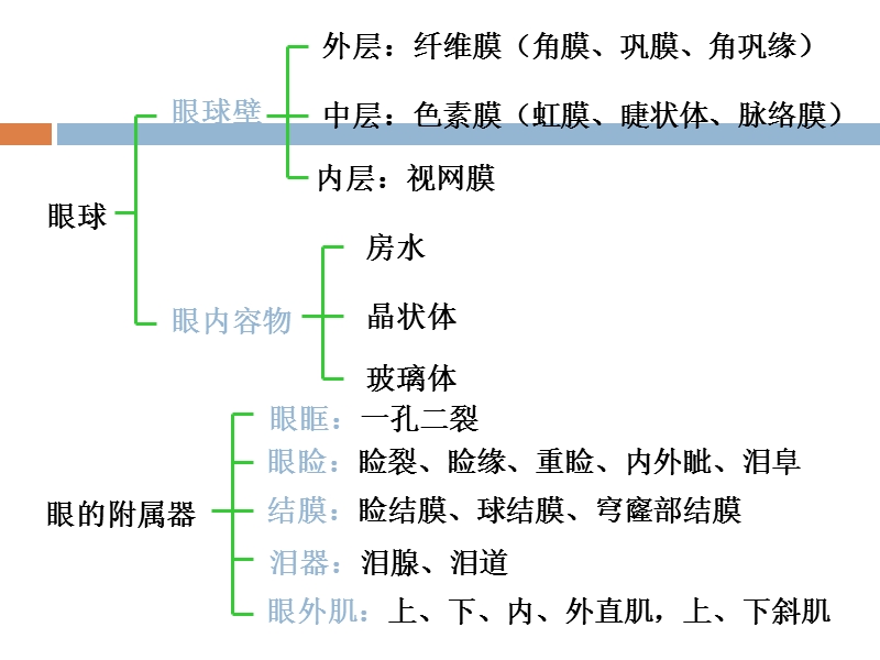 角膜穿通伤护理查房.ppt_第3页