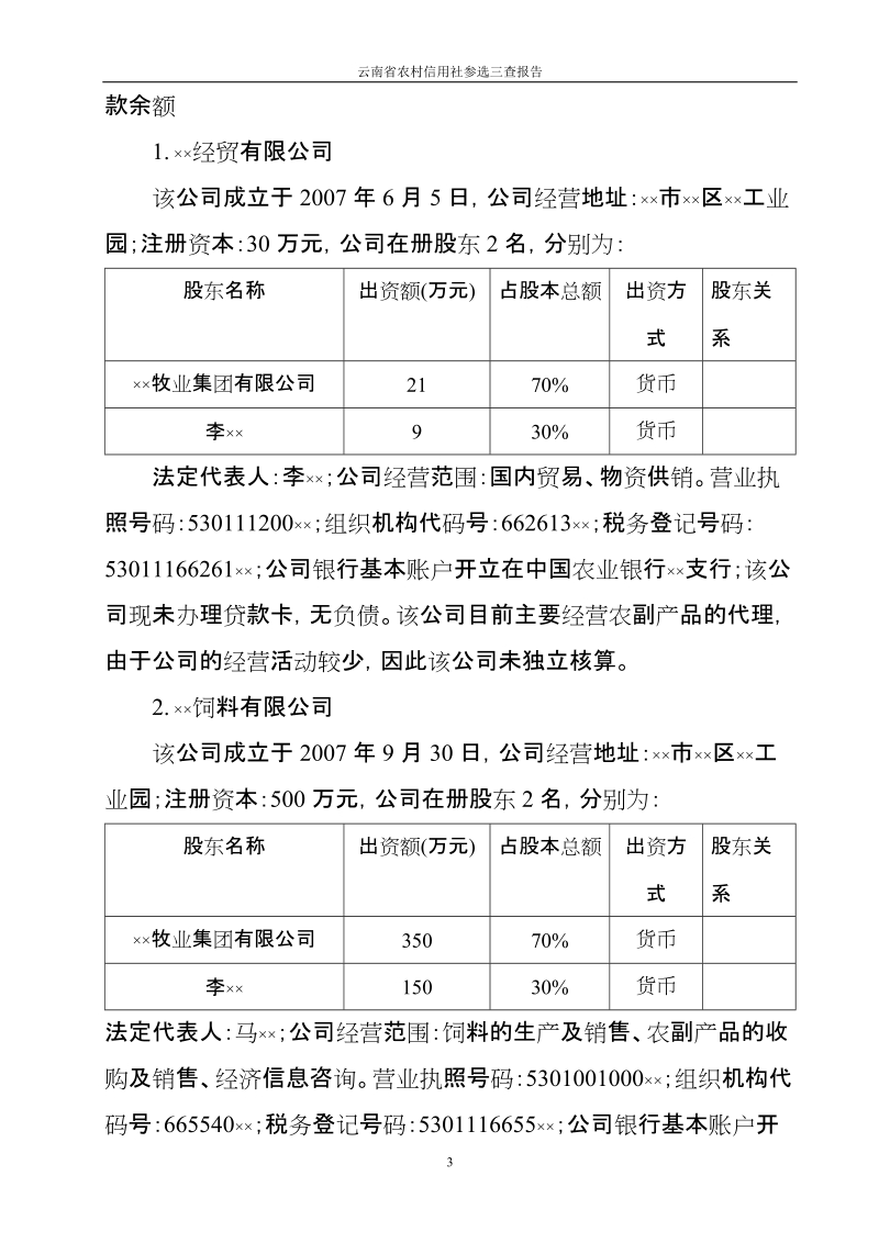 贷后检查报告.doc_第3页