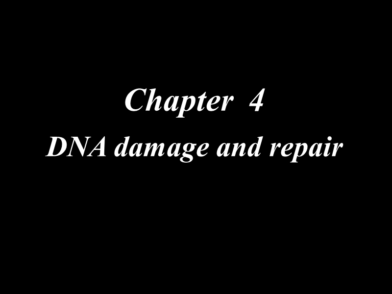 chapter-4-dna-damage-and-repair.ppt_第1页