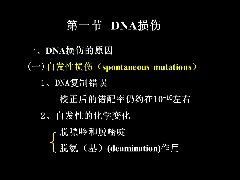 chapter-4-dna-damage-and-repair.ppt_第2页