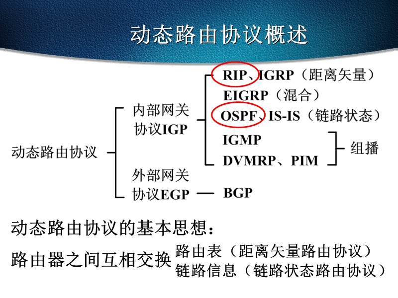 动态路由配置.ppt_第2页