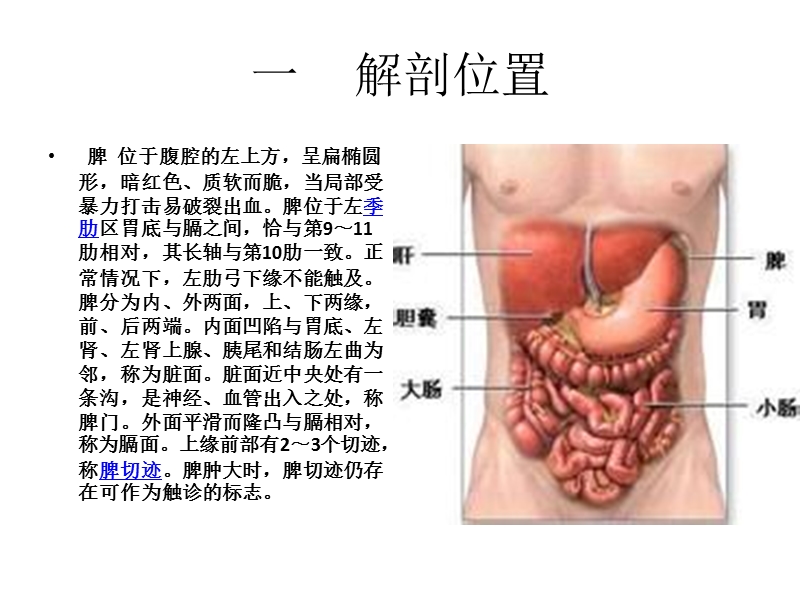 脾切除术病人的护理.ppt_第2页