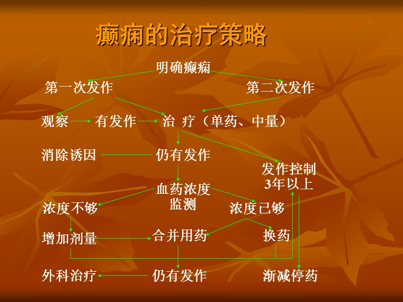 癫痫的治疗.ppt_第2页