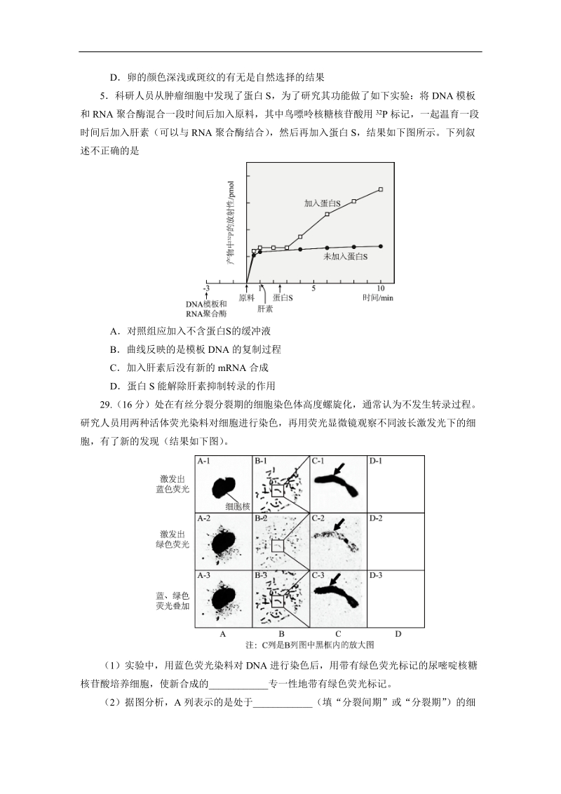 北京市海淀区2018届高三下学期适应性练习（零模）生物试题 word版含答案.doc_第2页