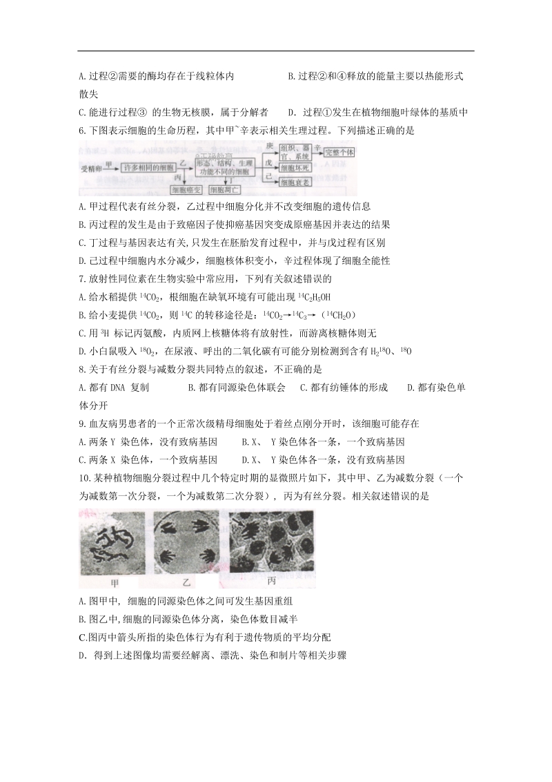 北京市房山区2018届高三上学期期末考试生物试卷 word版含答案.doc_第2页