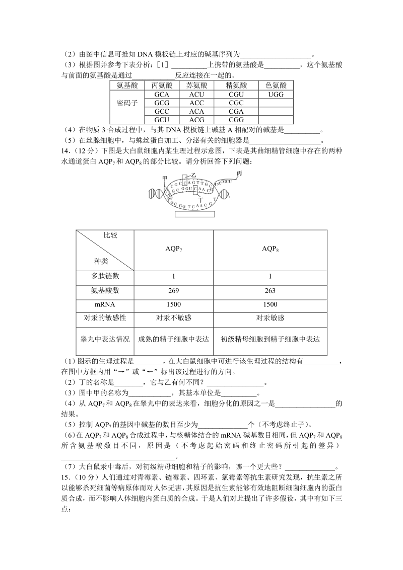 生物：必修2人教版《基因控制蛋白质的合成》单元测试题.pdf_第3页