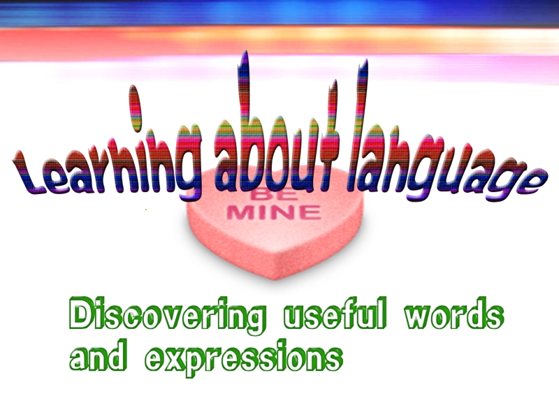 learning-about-language--unit-2-新课标人教版.ppt_第3页