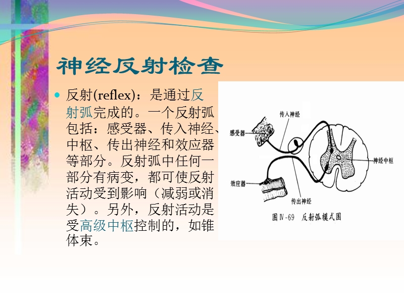 病理反射和脑膜刺激征(1).ppt_第2页