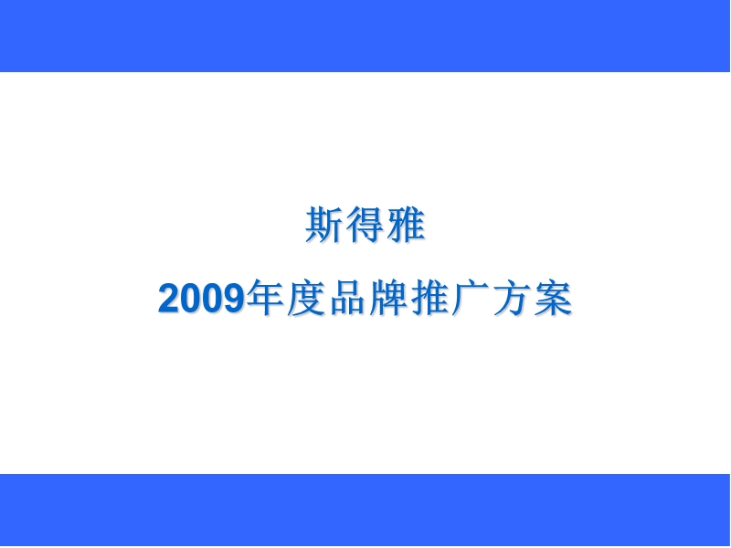 斯得雅2009年度品牌推广方案.ppt_第1页