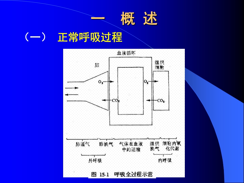 呼吸衰竭-2011-11.ppt_第2页