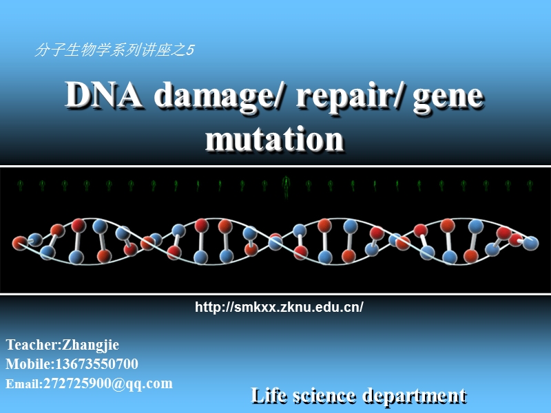 chapter8-dna-damage.ppt_第1页