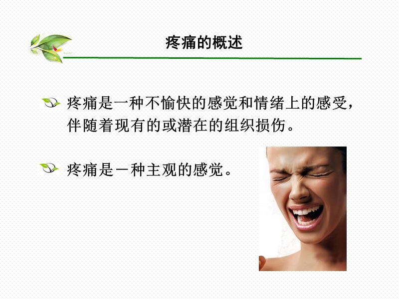 针灸治疗内脏急性疼痛.ppt_第2页