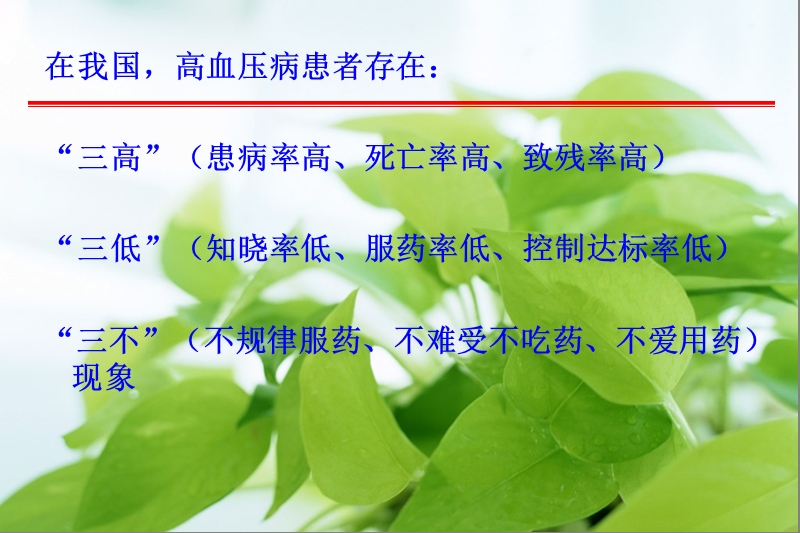 中西医治疗高血压病的优势及不足评述修改.ppt_第2页