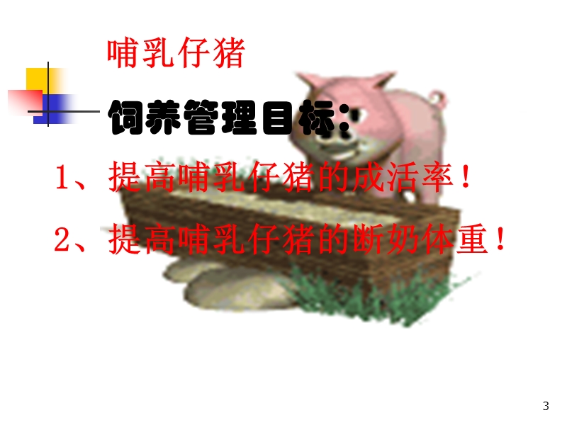 哺乳仔猪的饲养管理与营养保健.ppt_第3页