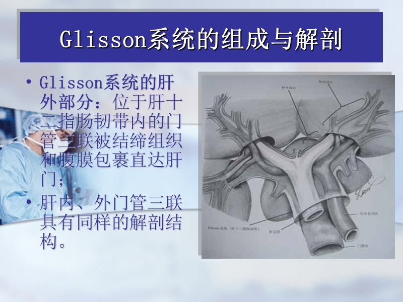 glisson蒂横断式肝切除.ppt_第3页