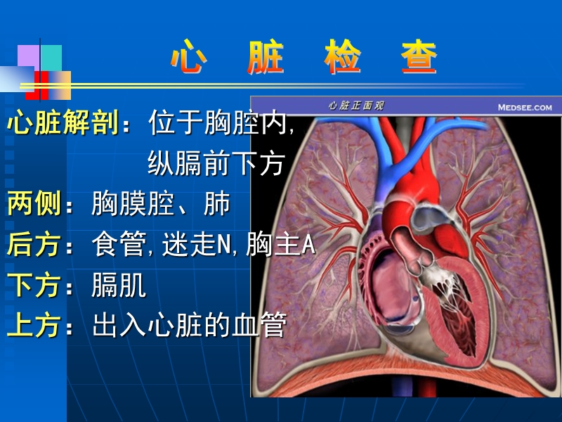 心脏检查(概要).ppt_第2页