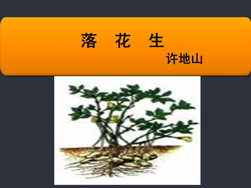 《落花生》课间.ppt_第1页