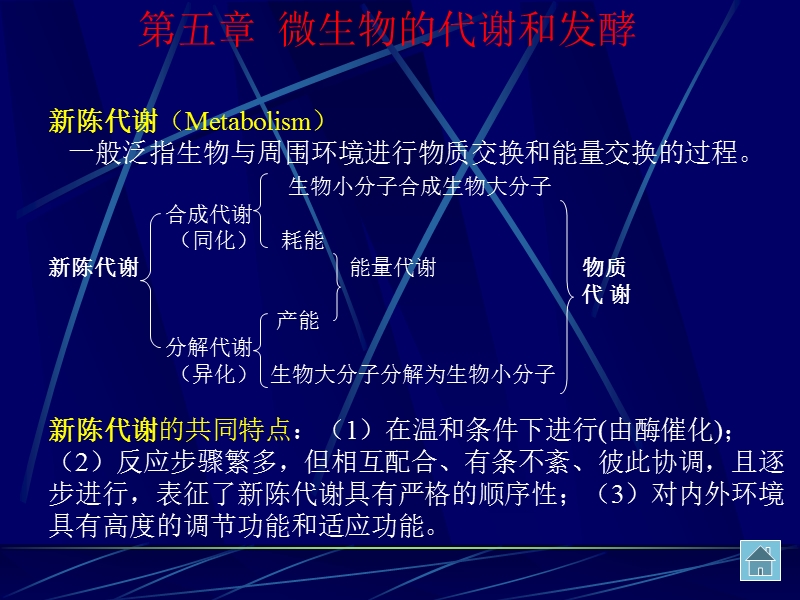 微生物的代谢和发酵.ppt_第1页