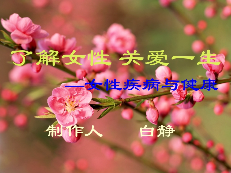 了解女性关爱一生.ppt_第2页