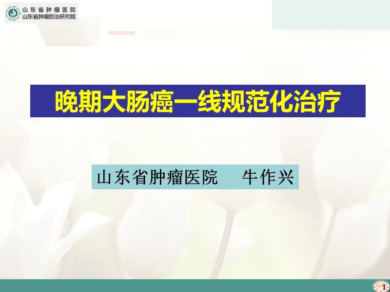 2105.09.13晚期大肠癌一线治疗.ppt_第1页