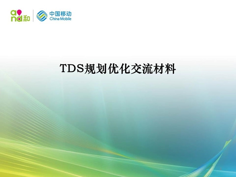 tds规划优化交流材料.pptx_第1页