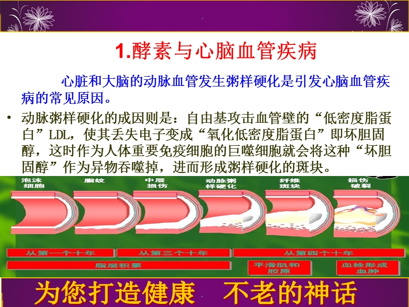 酵素与各种疾病.ppt_第2页