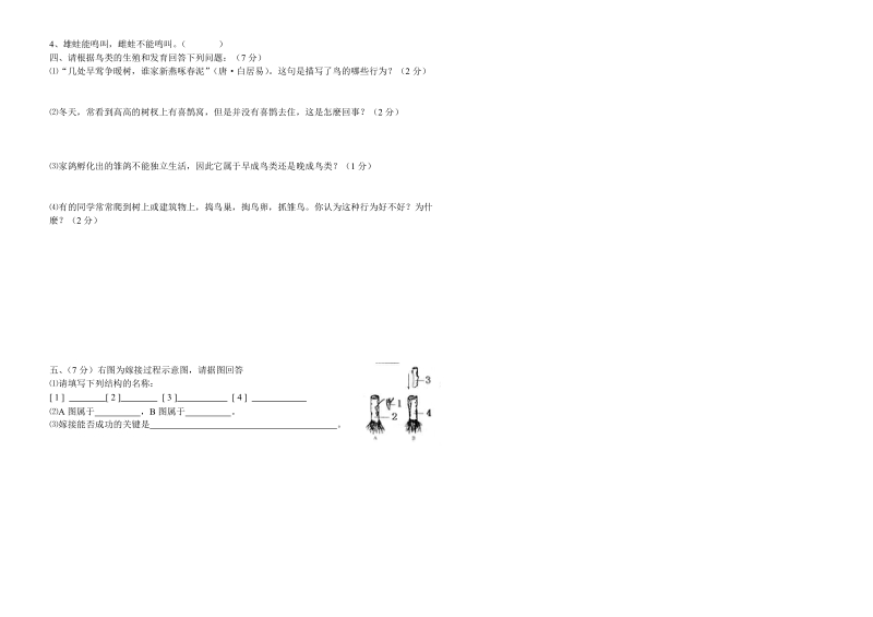 初二生物月考试卷ppt模版课件.doc_第2页