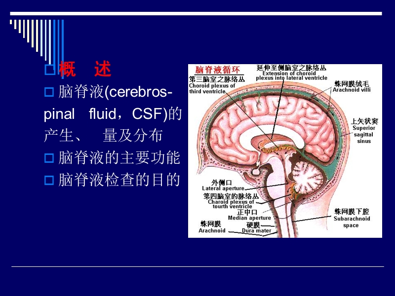 脑脊液检验(诊断学).ppt_第3页