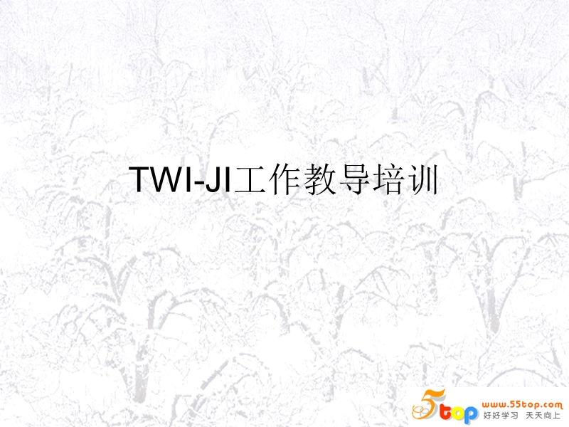 twi-ji工作教导培训.ppt_第1页