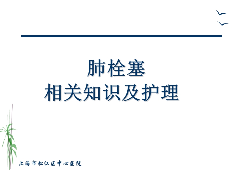 肺栓塞的治疗与护理.ppt_第1页