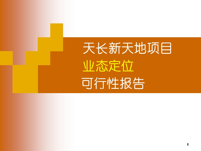 滁州天长新天地项目业态定位可行性研究报告（40页）.ppt_第1页