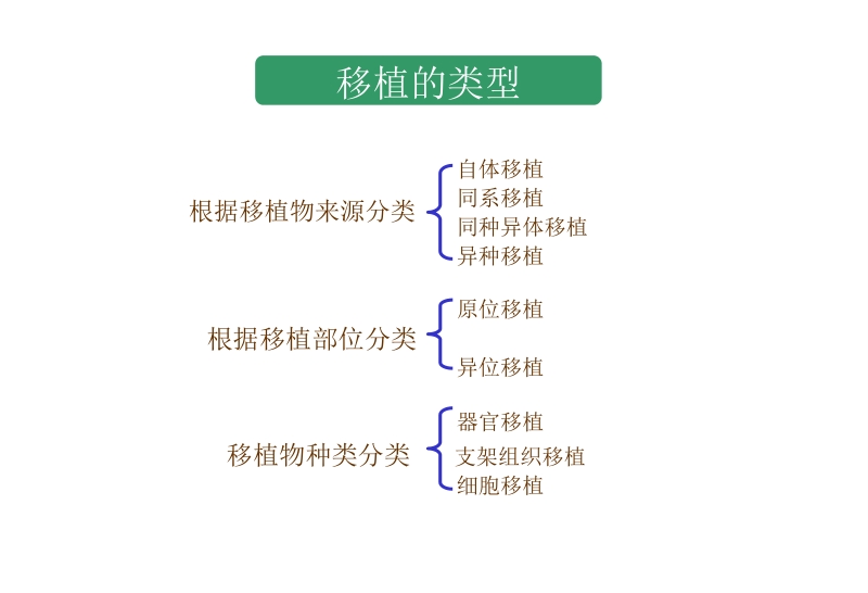 26_第26章_移植免疫及其免疫检测.ppt_第3页