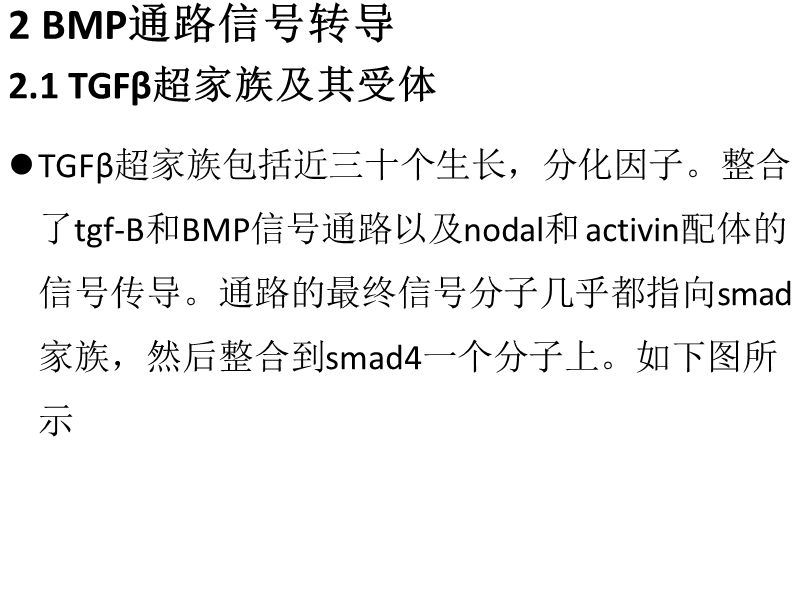 bmp_fgf_hh相关信号通路.pptx_第3页