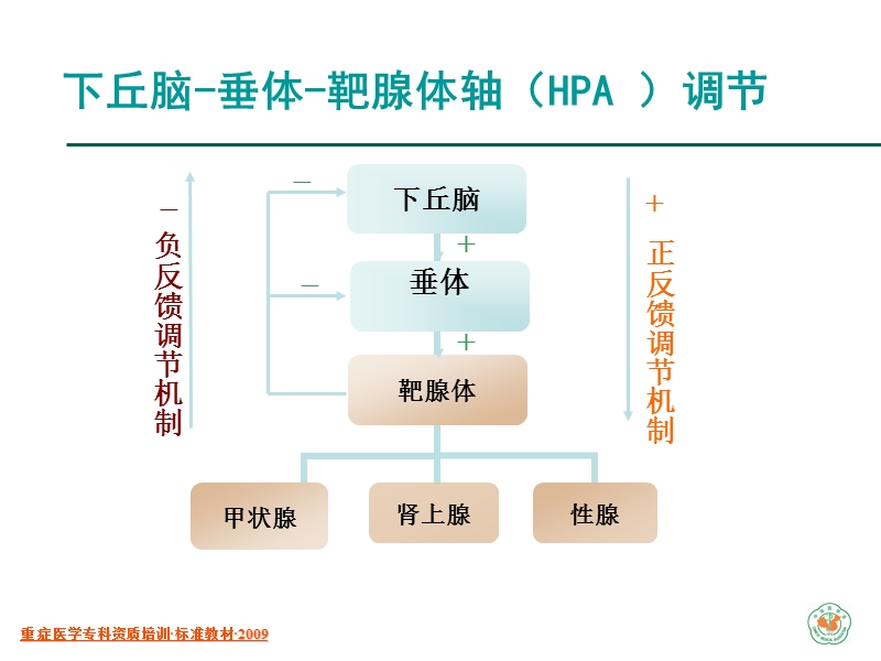 重症病人的内分泌监测.ppt_第3页