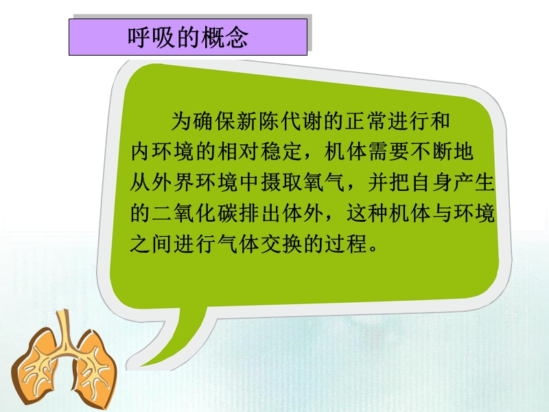 呼吸的观察及护理.ppt_第3页