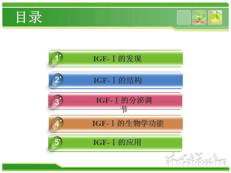 胰岛素样生长因子1的相关研究.ppt_第2页