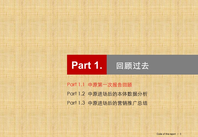 中原2011年12月峨眉山与湖2012年营销推广方案.ppt_第3页