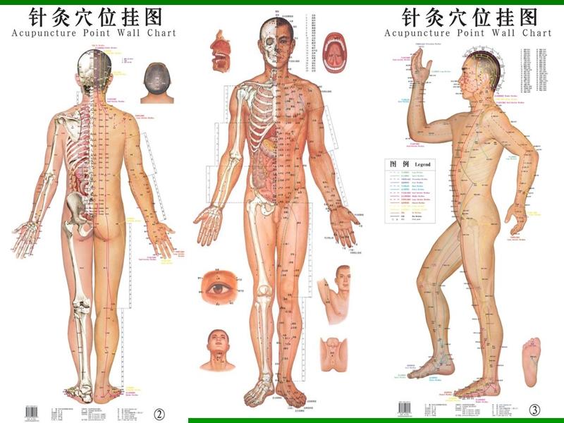 重点穴位保健.ppt_第1页