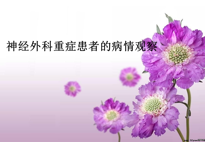 神经外科重症患者的病情观察.ppt_第1页