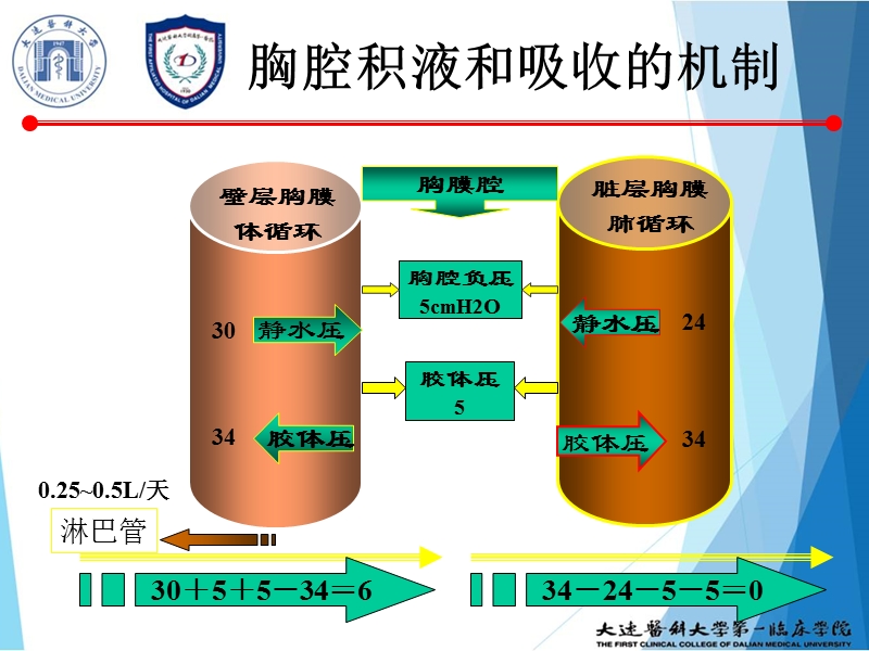 胸膜疾病.ppt_第3页