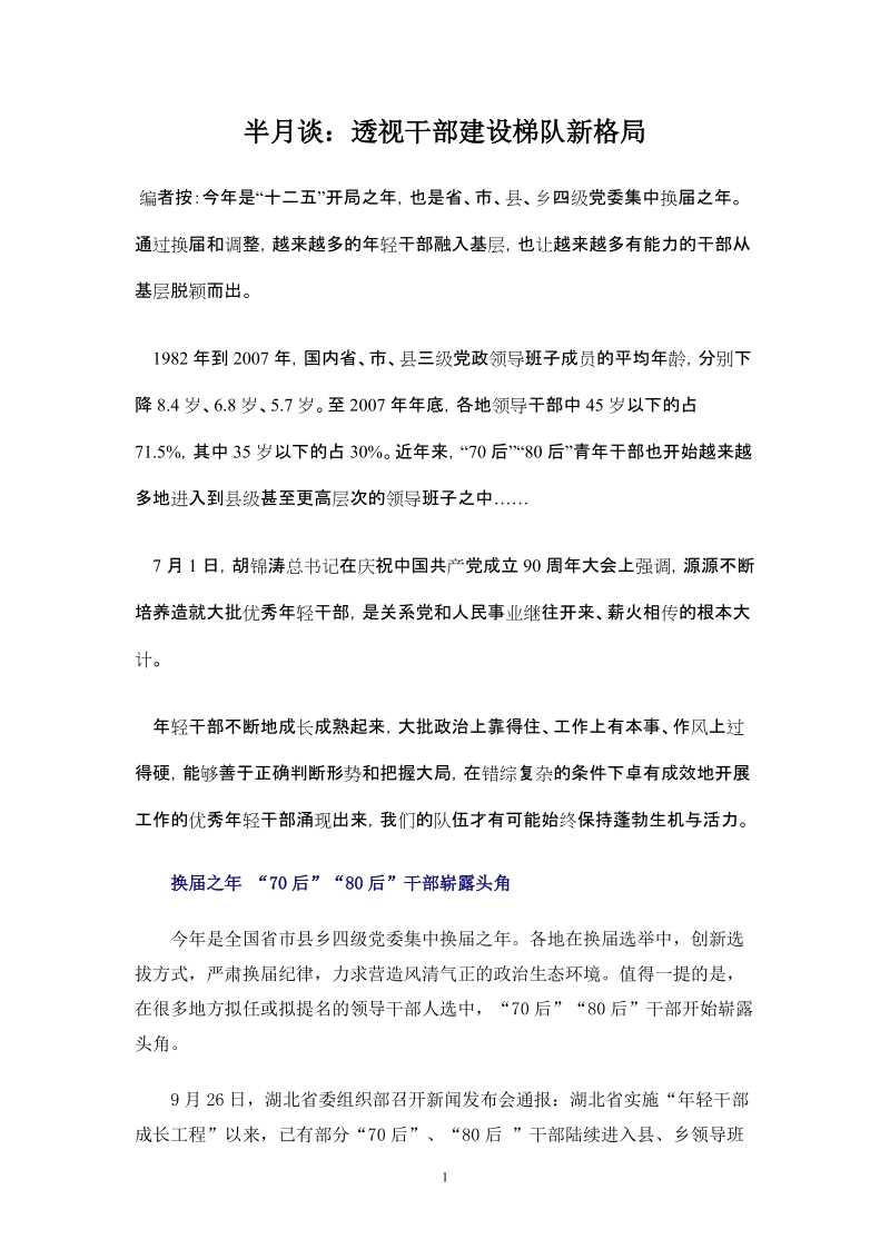 透视干部建设梯队新格局.doc_第1页