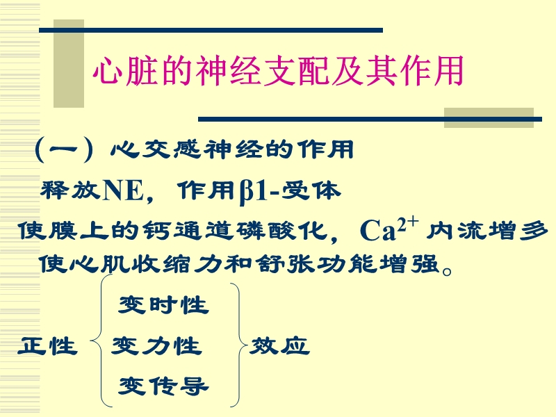 生理学_心血管活动调节.ppt_第3页