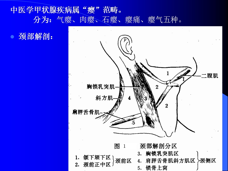 甲状腺疾病讲稿.ppt_第2页