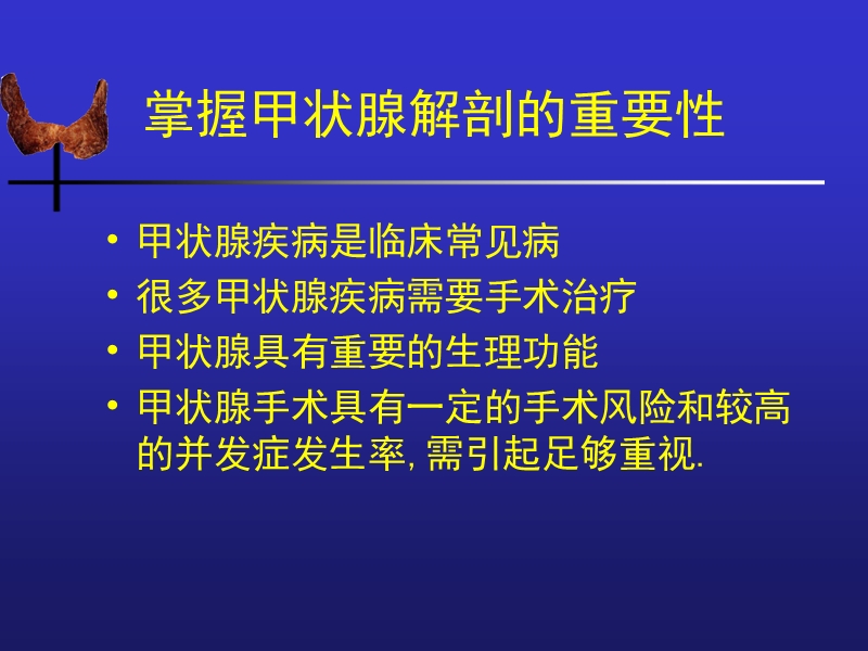 外科学__甲状腺解剖概要及临床意义.ppt_第2页