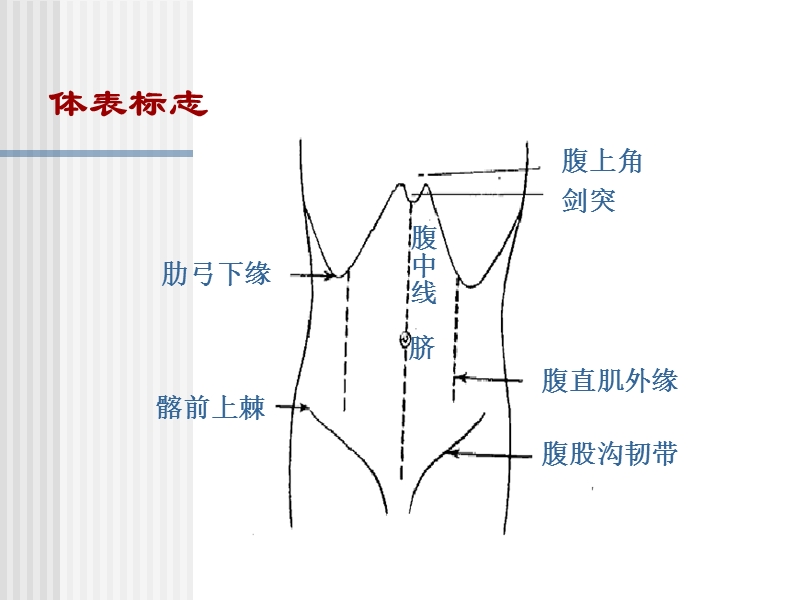 腹部检查.ppt_第3页