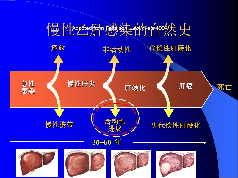 乙肝病人应怎样选择治疗方法.ppt_第2页