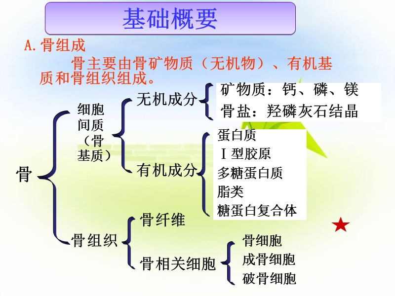 第十二章_骨代谢异常的生物化学诊断.ppt_第3页