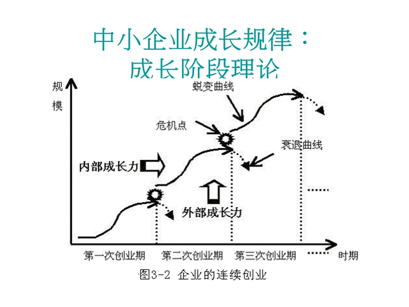 中国成长型企业战略执行动态能力.ppt_第3页