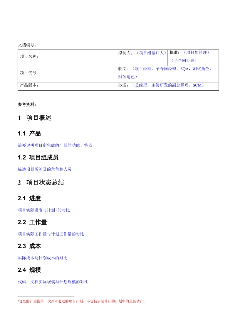 项目总结报告模板文档模板.doc_第2页