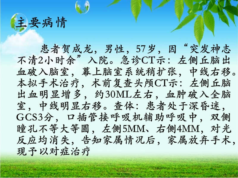 急性脑疝.ppt_第2页